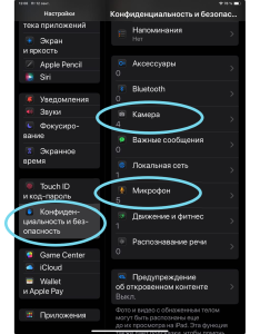 "Конфиденциальность и безопасность" на iPad